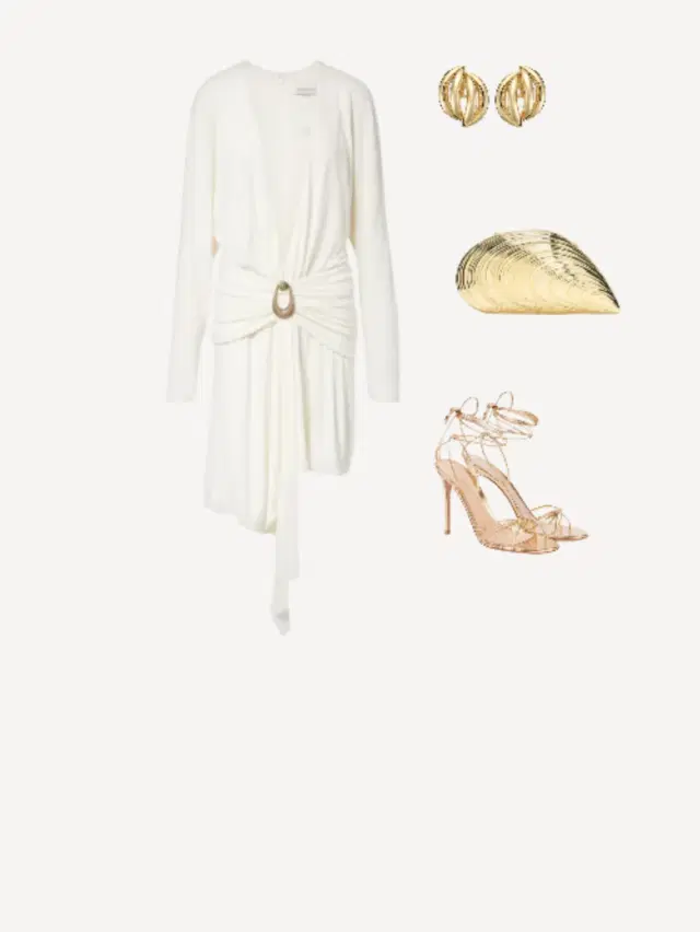 Elegant Evening Look