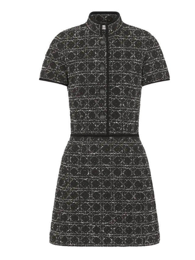 Dior Short Macrocannage Flared Dress