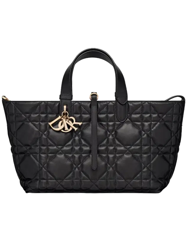 Dior Black Medium Dior Toujours Bag