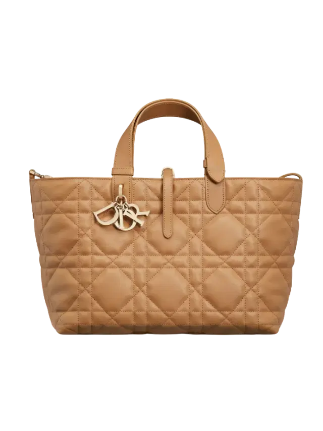 Dior Light Gold-Tone Medium Dior Toujours Bag