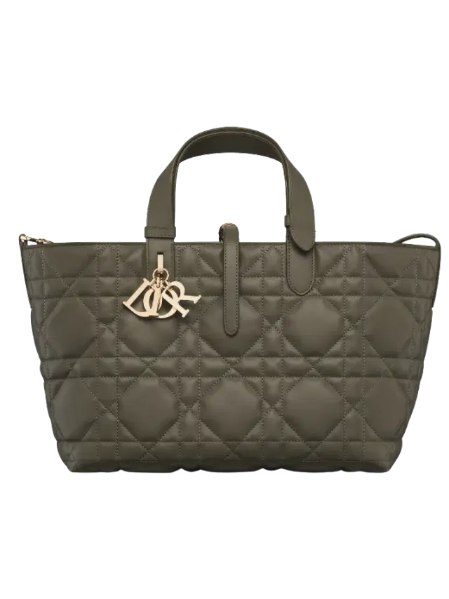 Dior Olive Taupe Medium Dior Toujours Bag