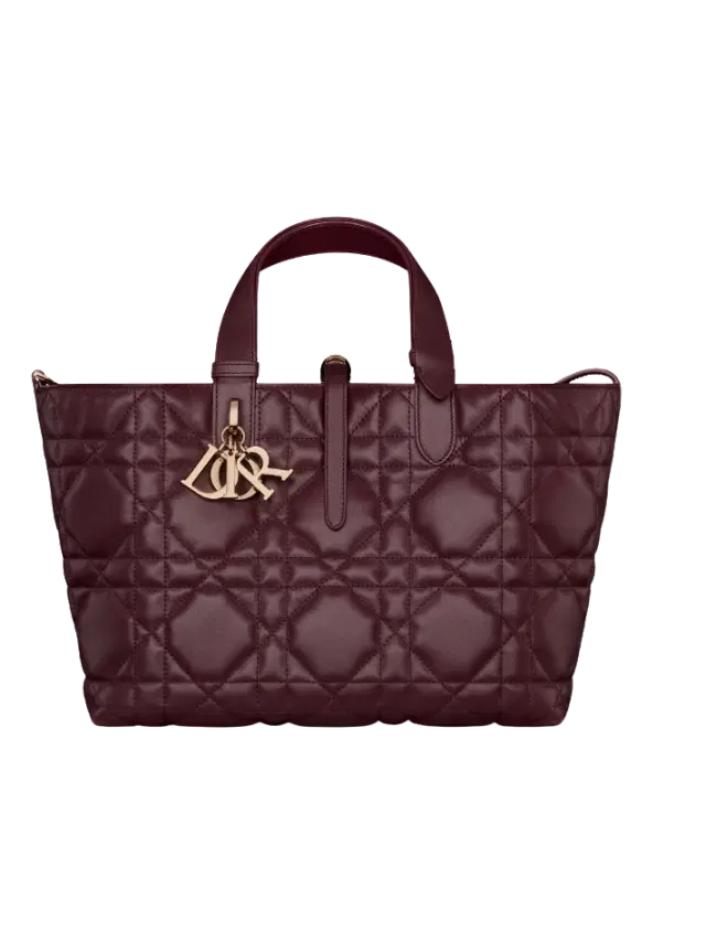 Dior Plum Medium Dior Toujours Bag