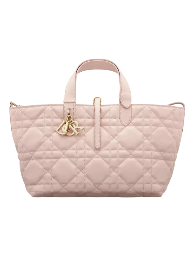 Dior Powder Pink Medium Dior Toujours Bag