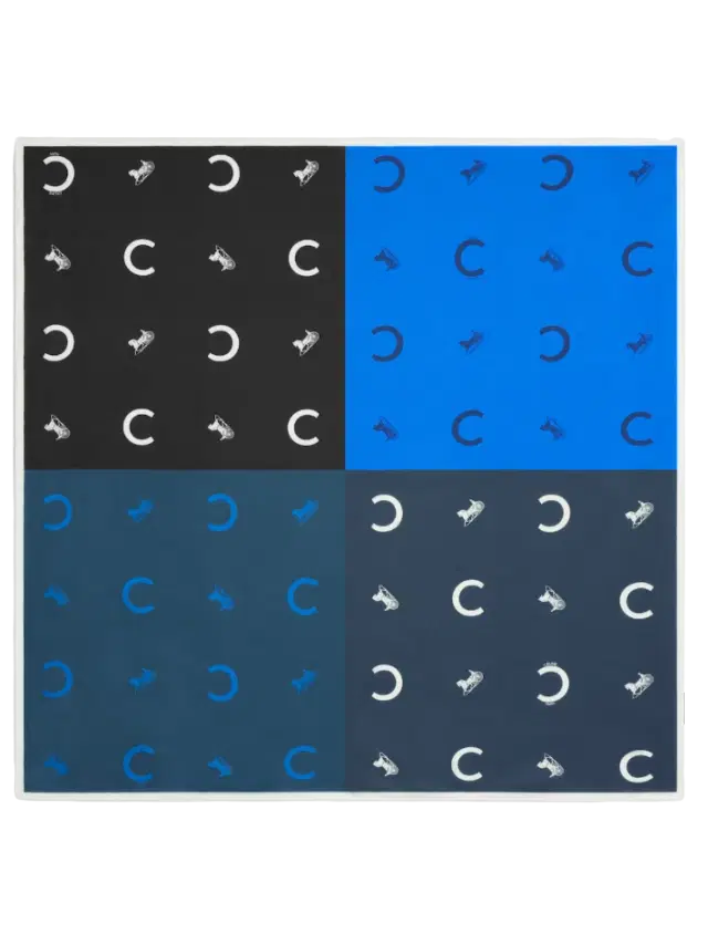 Celine square IN silk twill