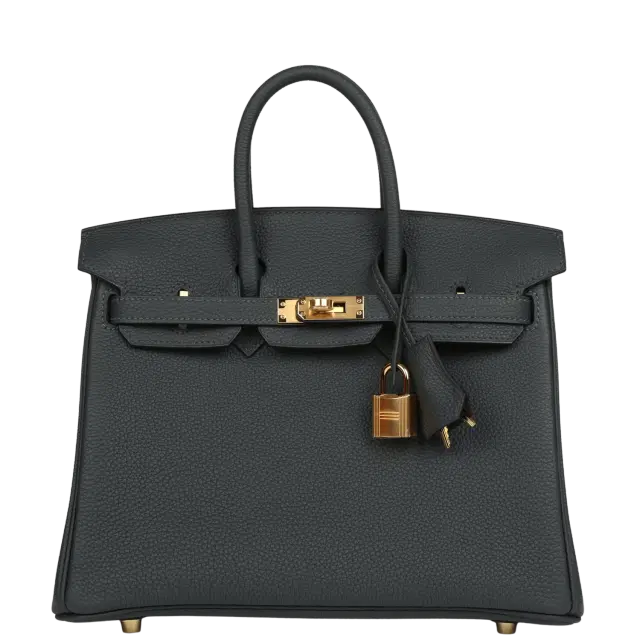 hermes Hermes Birkin 25 Gris Misty Togo Gold Hardware