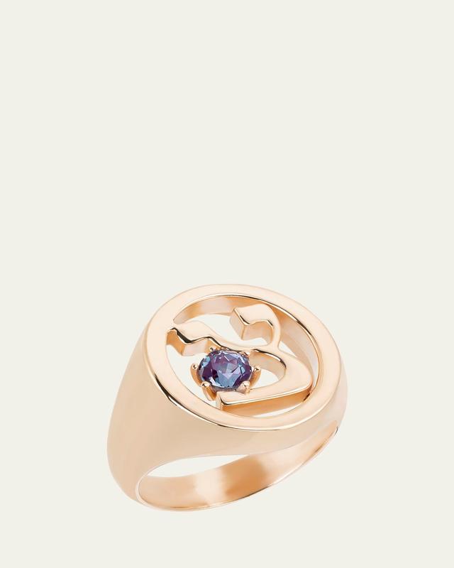 Procaccia Jewelry 18K Gold Hebrew ZADI Initial Signet Ring