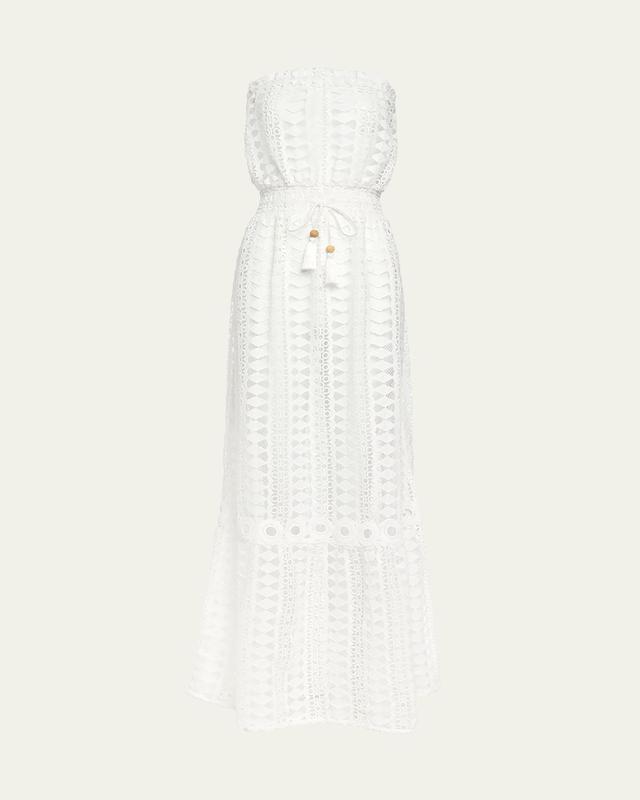 Ramy Brook Henrietta Embroidered Strapless Maxi Dress