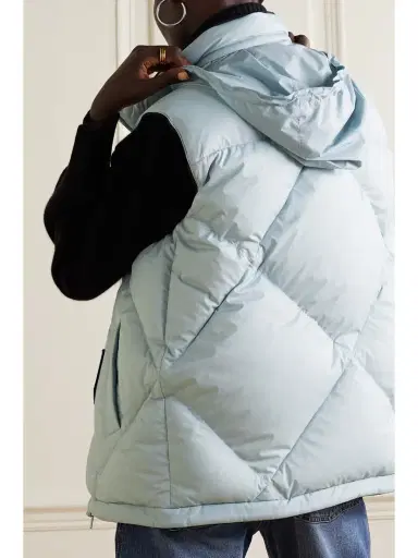 Loro Piana Silas Reversible Hooded Quilted Shell Down Gilet | Thumbnail 7 Loro Piana Silas Reversible Hooded Quilted Shell Down Gilet | Thumbnail 7