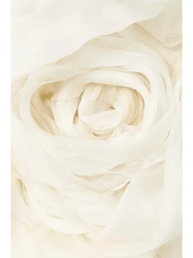 Danielle Frankel Lottie Strapless Appliquéd Silk-organza Mini Dress | Thumbnail 4 Danielle Frankel Lottie Strapless Appliquéd Silk-organza Mini Dress | Thumbnail 4
