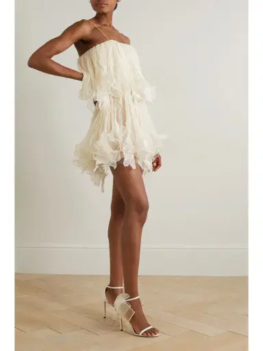 Danielle Frankel Wendell Tiered Ruffled Lace And Tulle Mini Dress | Thumbnail 2 Danielle Frankel Wendell Tiered Ruffled Lace And Tulle Mini Dress | Thumbnail 2