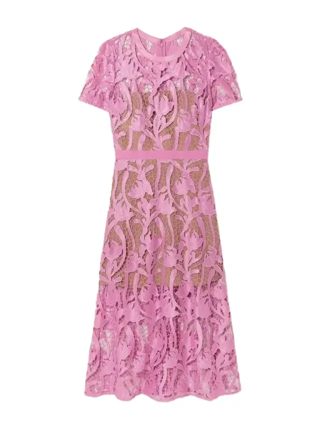 Grosgrain-trimmed Embroidered Satin And Guipure Lace Midi Dress