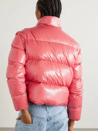 Moncler Almo Convertible Appliquéd Quilted Glossed-shell Down Jacket | Thumbnail 4 Moncler Almo Convertible Appliquéd Quilted Glossed-shell Down Jacket | Thumbnail 4