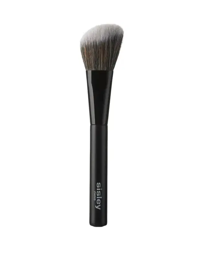 Blush Brush Blush Brush