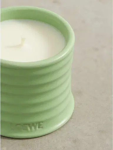 LOEWE PERFUMES Cucumber Small Scented Candle, 170g | Thumbnail 4 LOEWE PERFUMES Cucumber Small Scented Candle, 170g | Thumbnail 4