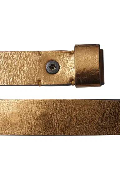 Lanvin Metallic Gold Belt | Thumbnail 5 Lanvin Metallic Gold Belt | Thumbnail 5
