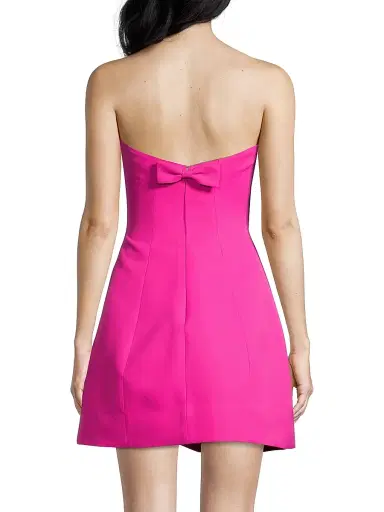 SACHIN BABI Women's Alanna A-Line Dress - Cerise | Thumbnail 5 SACHIN BABI Women's Alanna A-Line Dress - Cerise | Thumbnail 5