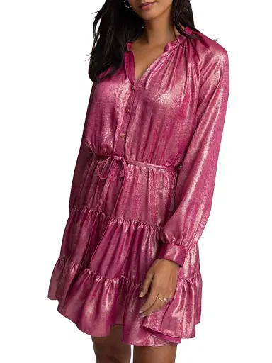 Robert Graham Women's Sydney Metallic Tiered Minidress - Pink | Thumbnail 3 Robert Graham Women's Sydney Metallic Tiered Minidress - Pink | Thumbnail 3