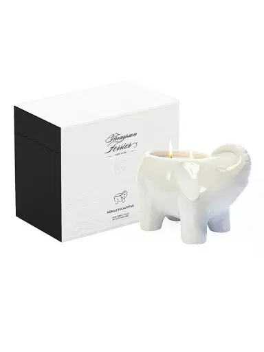 Thompson Ferrier Elephant Neroli Eucalyptus Scented Candle - White | Thumbnail 2 Thompson Ferrier Elephant Neroli Eucalyptus Scented Candle - White | Thumbnail 2