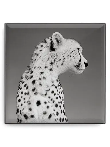 Chantecaille Women's Luminescent Eye Shade - Cheetah | Thumbnail 2 Chantecaille Women's Luminescent Eye Shade - Cheetah | Thumbnail 2
