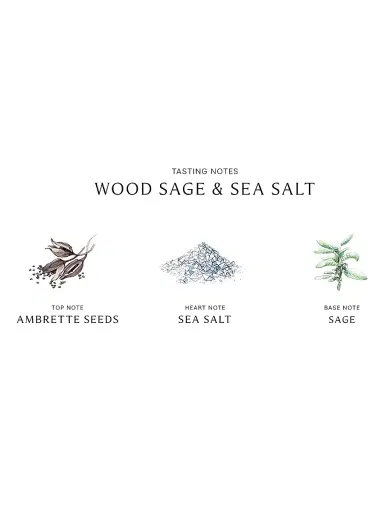 Jo Malone London Wood Sage & Sea Salt Classic Candle | Thumbnail 4 Jo Malone London Wood Sage & Sea Salt Classic Candle | Thumbnail 4