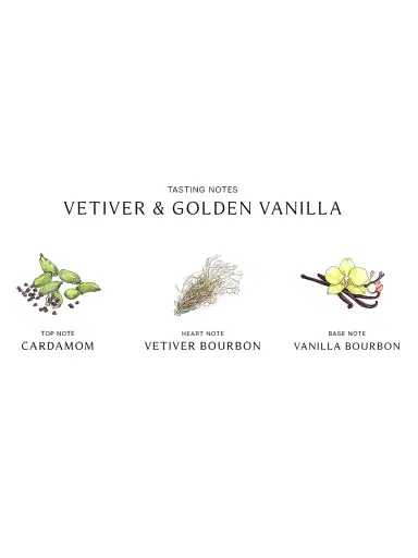 Jo Malone London Vetiver & Golden Vanilla Cologne Intense 3.4 oz | Thumbnail 4 Jo Malone London Vetiver & Golden Vanilla Cologne Intense 3.4 oz | Thumbnail 4