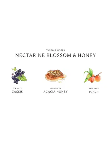 Jo Malone London Nectarine Blossom & Honey Body & Hand Lotion | Thumbnail 3 Jo Malone London Nectarine Blossom & Honey Body & Hand Lotion | Thumbnail 3