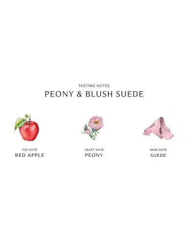 Jo Malone London Peony & Blush Suede Luxury Candle | Thumbnail 4 Jo Malone London Peony & Blush Suede Luxury Candle | Thumbnail 4