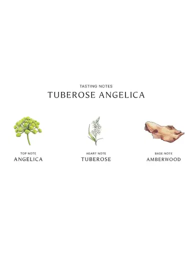 Jo Malone London Tuberose Angelica Cologne Intense 3.4 oz | Thumbnail 4 Jo Malone London Tuberose Angelica Cologne Intense 3.4 oz | Thumbnail 4