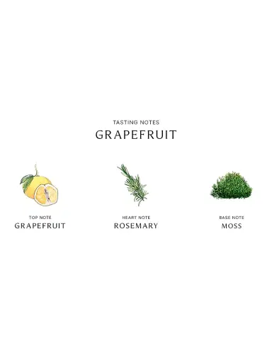Jo Malone London Grapefruit Home Candle | Thumbnail 5 Jo Malone London Grapefruit Home Candle | Thumbnail 5