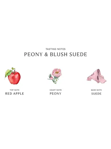 Jo Malone London Peony & Blush Suede Scent Surround Diffuser | Thumbnail 3 Jo Malone London Peony & Blush Suede Scent Surround Diffuser | Thumbnail 3