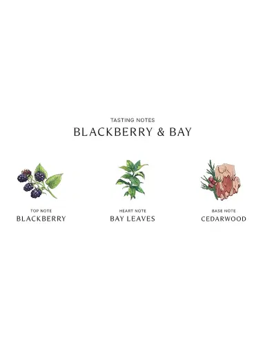 Jo Malone London Blackberry & Bay Classic Candle | Thumbnail 4 Jo Malone London Blackberry & Bay Classic Candle | Thumbnail 4