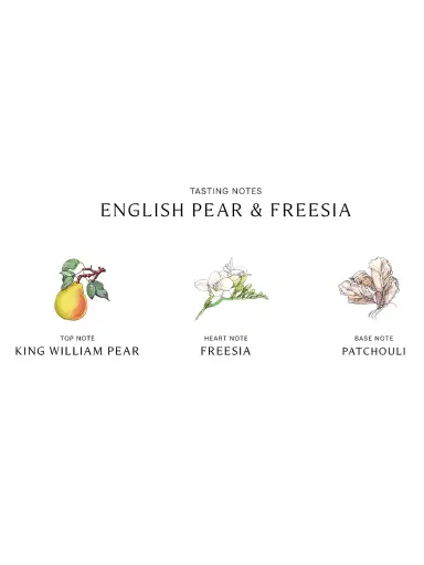 Jo Malone London English Pear & Freesia Scent Surround Diffuser | Thumbnail 4 Jo Malone London English Pear & Freesia Scent Surround Diffuser | Thumbnail 4
