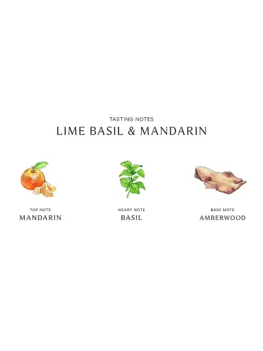 Jo Malone London Lime Basil & Mandarin Deluxe Candle | Thumbnail 5 Jo Malone London Lime Basil & Mandarin Deluxe Candle | Thumbnail 5
