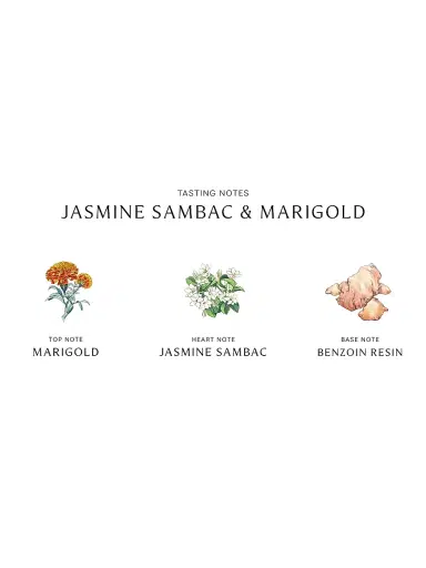 Jo Malone London Jasmine Sambac & Marigold Home Candle | Thumbnail 4 Jo Malone London Jasmine Sambac & Marigold Home Candle | Thumbnail 4