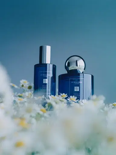 Jo Malone London Night Moonlit Chamomile Cologne - Size 3.4 oz | Thumbnail 5 Jo Malone London Night Moonlit Chamomile Cologne - Size 3.4 oz | Thumbnail 5
