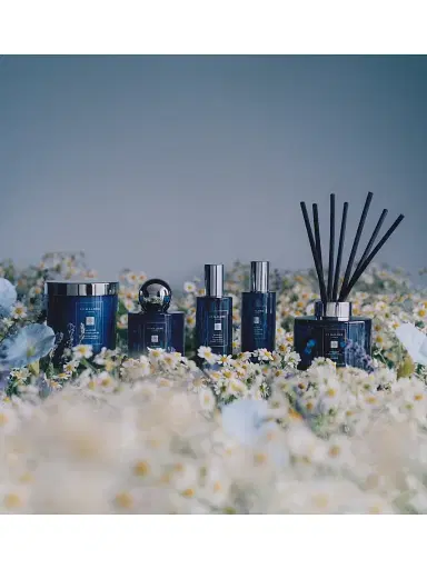 Jo Malone London Night Moonlit Chamomile Cologne - Size 3.4 oz | Thumbnail 6 Jo Malone London Night Moonlit Chamomile Cologne - Size 3.4 oz | Thumbnail 6