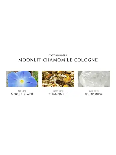 Jo Malone London Night Moonlit Chamomile Cologne - Size 3.4 oz | Thumbnail 7 Jo Malone London Night Moonlit Chamomile Cologne - Size 3.4 oz | Thumbnail 7