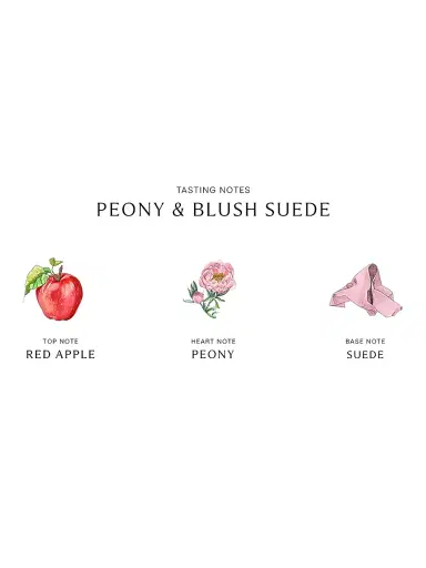 Jo Malone London Peony & Blush Suede Body Crème | Thumbnail 3 Jo Malone London Peony & Blush Suede Body Crème | Thumbnail 3