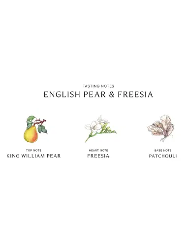Jo Malone London English Pear & Freesia Deluxe Candle | Thumbnail 4 Jo Malone London English Pear & Freesia Deluxe Candle | Thumbnail 4