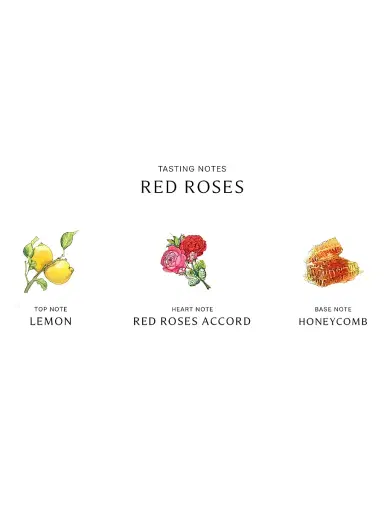 Jo Malone London Red Roses Classic Candle | Thumbnail 5 Jo Malone London Red Roses Classic Candle | Thumbnail 5
