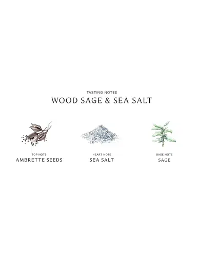 Jo Malone London Women's Wood Sage & Sea Salt Body & Hand Lotion | Thumbnail 3 Jo Malone London Women's Wood Sage & Sea Salt Body & Hand Lotion | Thumbnail 3