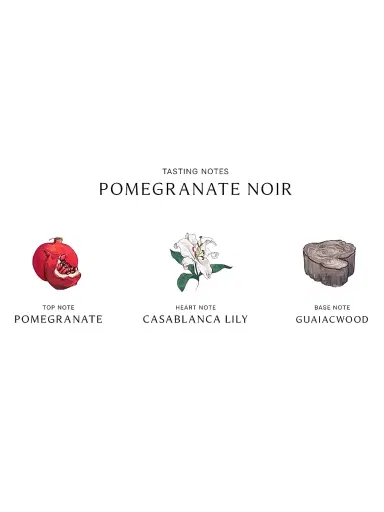 Jo Malone London Pomegranate Noir Scent Surround Diffuser No Size | Thumbnail 4 Jo Malone London Pomegranate Noir Scent Surround Diffuser No Size | Thumbnail 4
