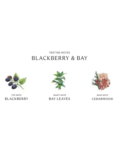 Jo Malone London Blackberry & Bay Diffuser | Thumbnail 3 Jo Malone London Blackberry & Bay Diffuser | Thumbnail 3
