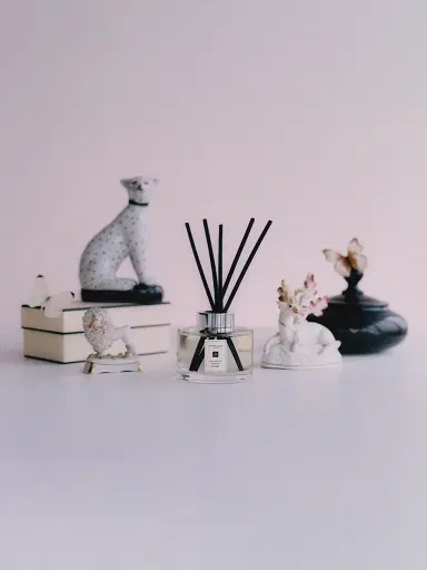 Jo Malone London Blackberry & Bay Diffuser | Thumbnail 4 Jo Malone London Blackberry & Bay Diffuser | Thumbnail 4