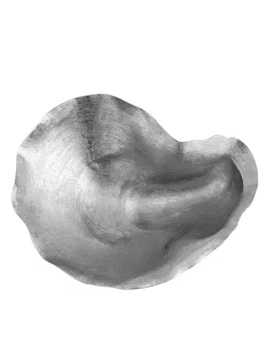 Michael Aram Ocean Reef Large Oyster Shell Bowl | Thumbnail 4 Michael Aram Ocean Reef Large Oyster Shell Bowl | Thumbnail 4