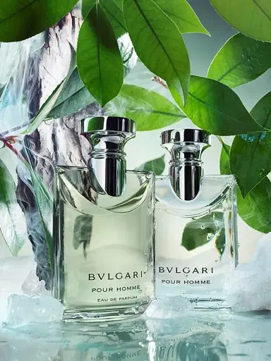 BVLGARI Men's Pour Homme Eau de Parfum - Size 3.4 oz | Thumbnail 5 BVLGARI Men's Pour Homme Eau de Parfum - Size 3.4 oz | Thumbnail 5