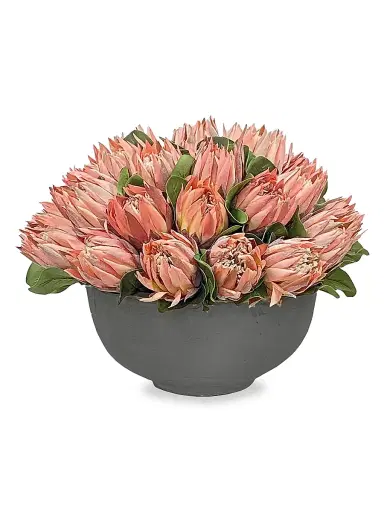 Winward Home Permanent Botanicals Pink Protea In Bowl - Pink | Thumbnail 1 Winward Home Permanent Botanicals Pink Protea In Bowl - Pink | Thumbnail 1