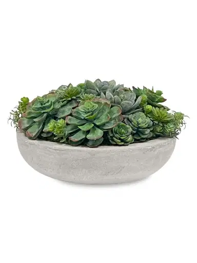 Winward Home Imitation Succulent Mix In Round Bowl | Thumbnail 1 Winward Home Imitation Succulent Mix In Round Bowl | Thumbnail 1