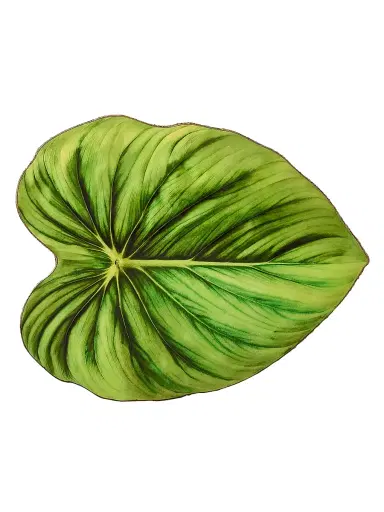 Kim Seybert Tropicana Placemat - Green | Thumbnail 1 Kim Seybert Tropicana Placemat - Green | Thumbnail 1