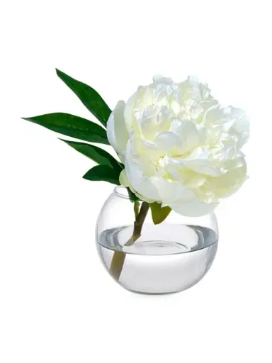 Diane James Peony Blossom In Glass Bowl - White | Thumbnail 1 Diane James Peony Blossom In Glass Bowl - White | Thumbnail 1